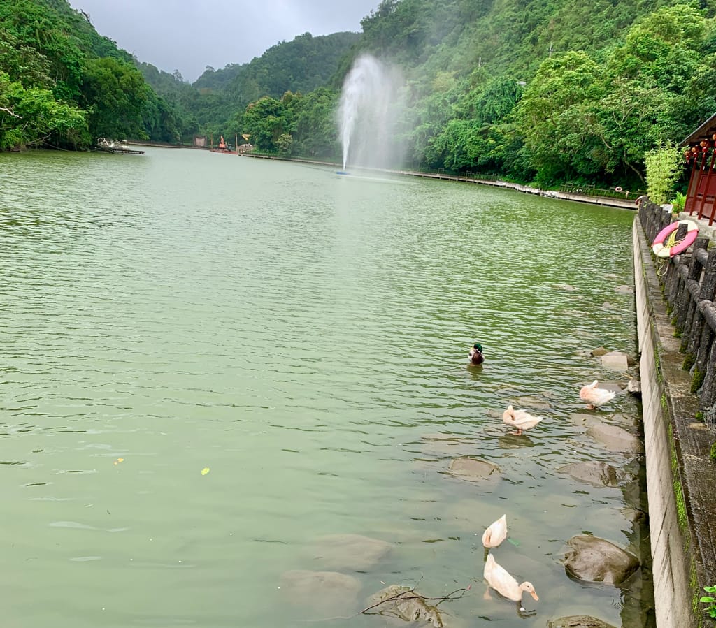 《2022宜蘭親子景點》長埤湖精靈村|日式浴衣和服體驗|可愛動物餵食|湖畔噴泉|大自然森林吸收芬多精|偽出國到日本,距離清水地熱很近,親子網美都愛來~