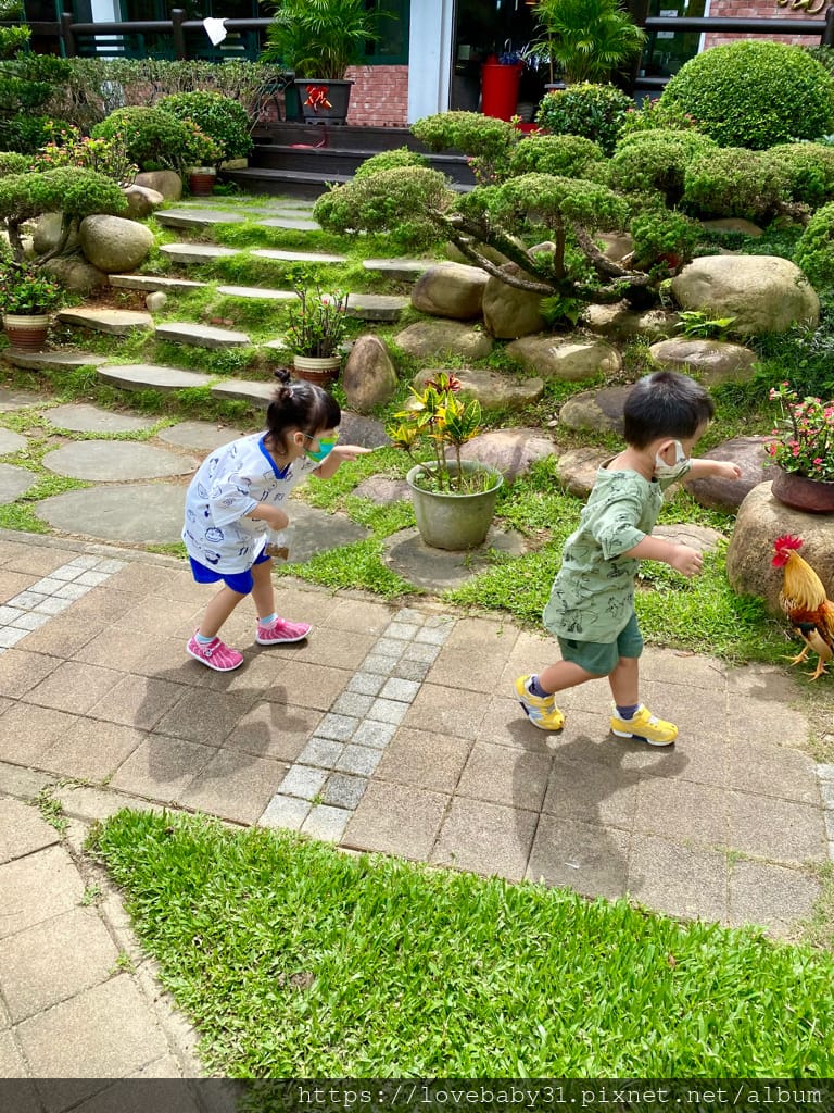 《龍潭景觀餐廳》山水緣庭園餐廳｜在山中裡的秘境美食｜現磨咖啡及烏龍茶暢飲｜餵魚跟觀賞雞群的親子必去景點，適合親子也適合帶長輩來的地方～