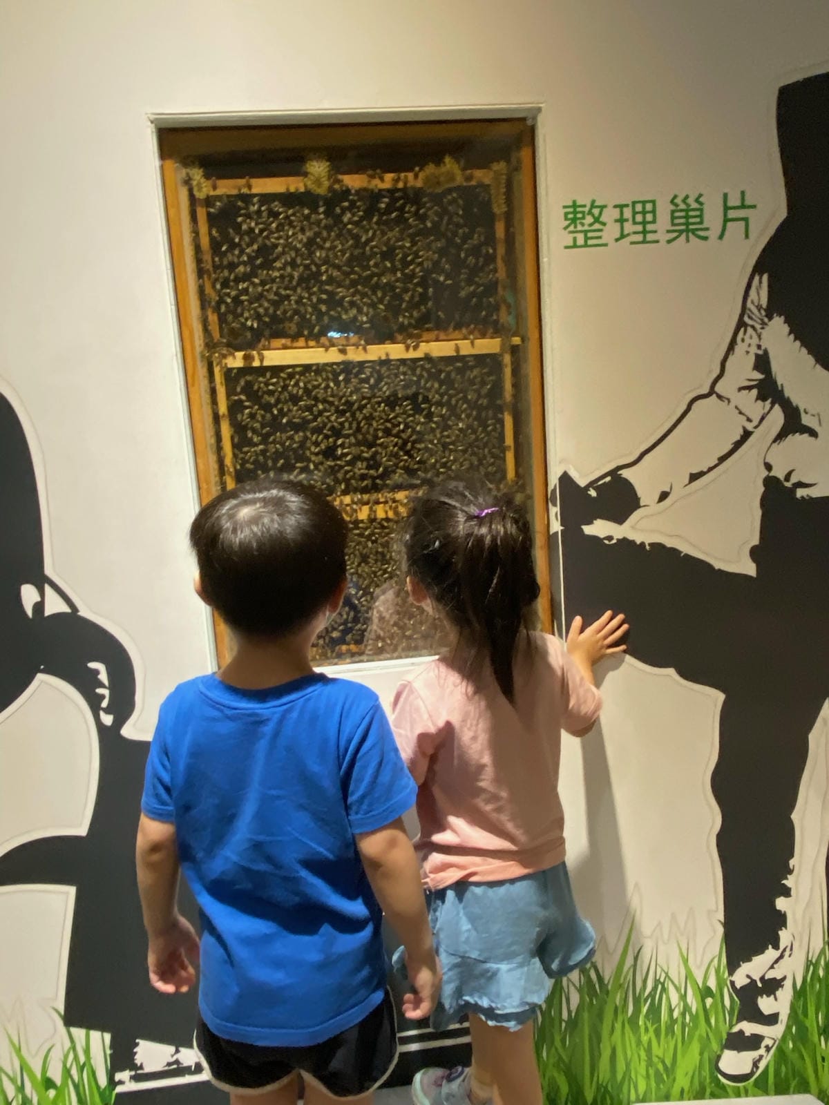 7D84E291-4071-4F33-8638-39A0E92B2A07.jpeg