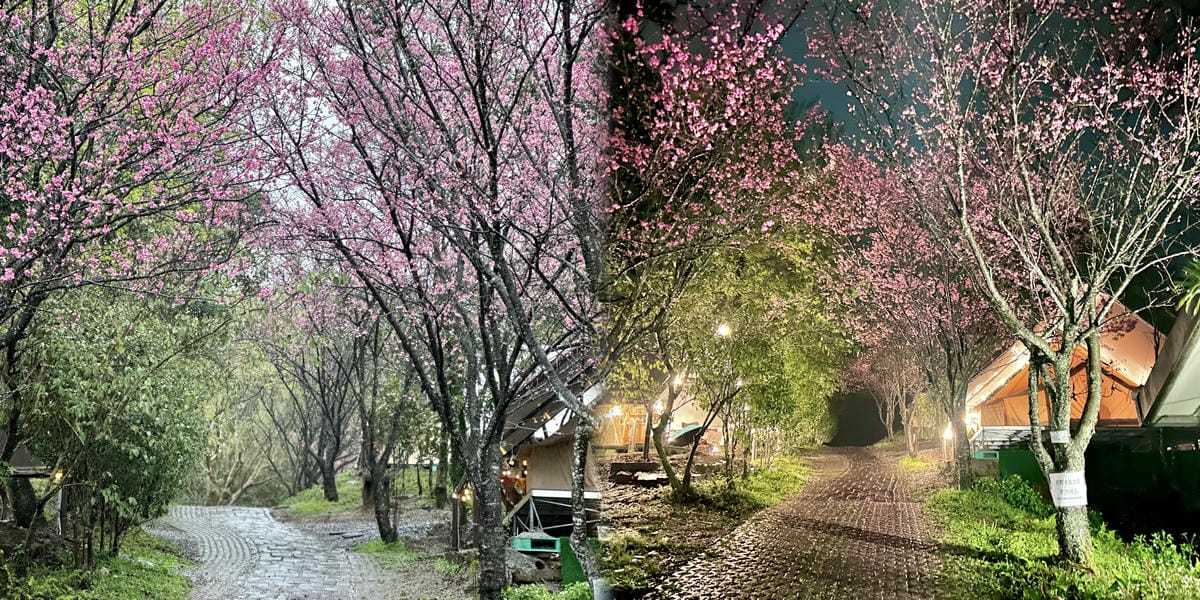 已歇業《 陽明山親子豪華露營 》趣兒Chill:藍鵲菲菲|菲 已歇業《 陽明山親子豪華露營 》趣兒Chill:藍鵲菲菲|菲