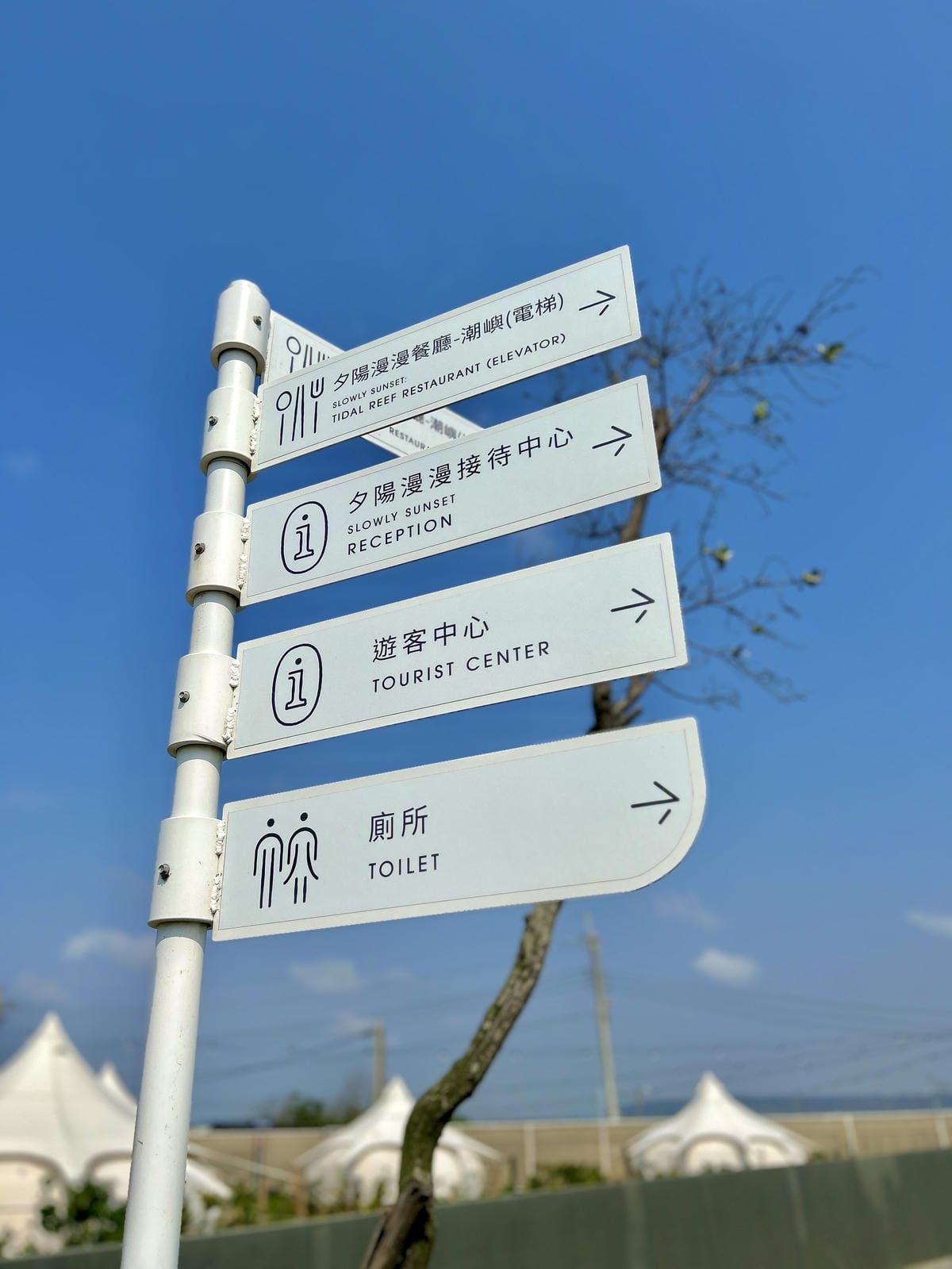 《 台中親子豪華露營 》蟬說：夕陽漫漫｜一卡皮箱免搭帳露營｜
