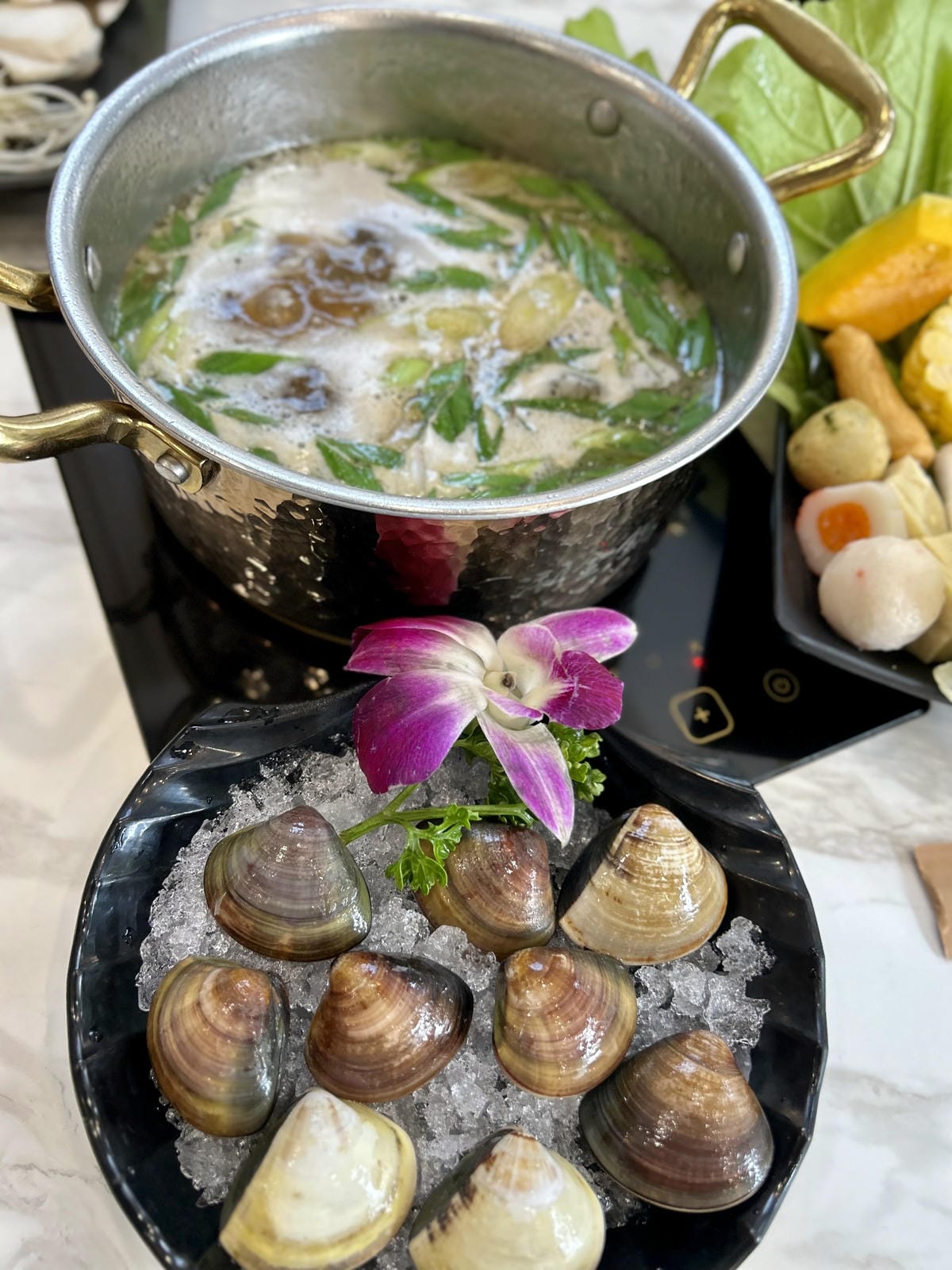 《 桃園美食 》涮金鍋 和風鍋物｜麥味登兄弟品牌｜使用熬雞湯