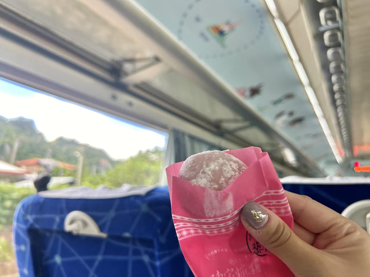 《 台灣親子旅行 》迪士尼列車-環島之星夢想號｜暑期還有小小
