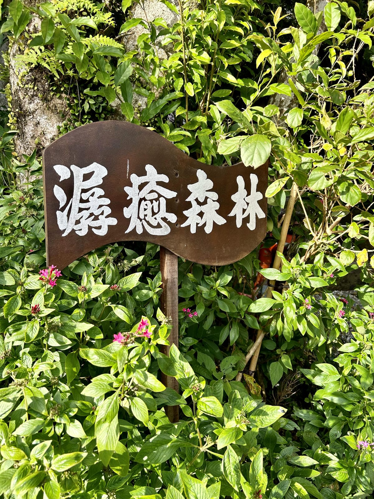 《 台北陽明山豪華露營 》蟬說：暖硫｜每帳都有獨立衛浴｜一泊